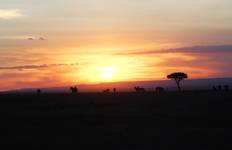 Circuit La faune et l'île aux épices