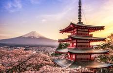 7 Days Customized Tokyo and Kansai Classic Tour (private guide & driver)Family Tour Tour