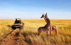 Circuit Safari dans le nord de la Tanzanie, chutes d'eau de Materuni et plantation de café - Circuit de 6 jours