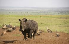 Circuit Aventurier africain