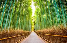 Japan Romantikreise (Flitterwochen) mit privatem Reiseführer & Fahrer 8 Tage Reise