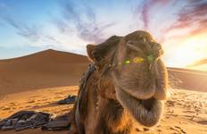 2 Days 1 Night Desert Trip from Fes to Marrakech