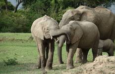 Circuit Le vagabond de la vie sauvage