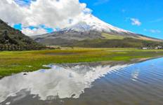 11 Days around Ecuador:  A Journey Through Nature and Culture Tour