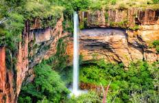 Northern Pantanal Roundtrip Tour