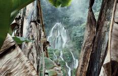 5 Days Exploring Colombia’s Coffee Paradise Risaralda. Tour