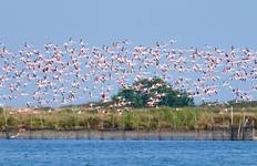 Circuit L'Italie du Nord au complet - 13 jours
