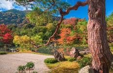 Rondreis Japan Caleidoscoop (incl. vlucht)