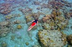South Pacific Wonders including New Zealand's North Island (Cairns to Queenstown) (2026)