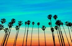 Circuit Boucle de Los Angeles - 7 jours