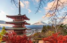 Circuito Paquete turístico de 14 Días por la Ruta Dorada de Japón