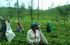 Active Sri Lanka Tour