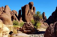 Circuit Circuit de 10 jours de Marrakech aux villes impériales : Merzouga Desert Glamping