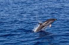 Circuit Expérience au Mozambique - 12 jours/11 nuits (Confort)