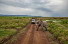 Rondreis Kenia naar Zimbabwe Overland Safari & Deelname Camping