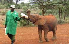 Circuit Safari africain : Kenya et Tanzanie (de Nairobi au parc national de Tarangire) (2025)