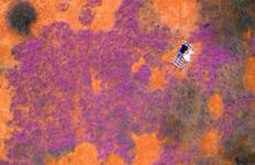 Broome to Perth Wildflower Tour
