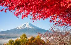 Circuit Circuit de 11 jours en Corée du Sud et au Japon