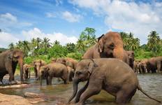 Golden Triangle and Kerala Tour with House Boat Stay Tour