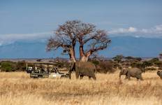 Circuit 7 jours de safari en Tanzanie