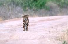 Circuit 6 jours dans le Chaco paraguayen