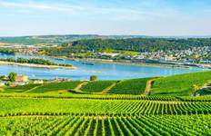 Circuit Châteaux et vignobles de charme du Rhin et de la Moselle 2026|2027 - 8 jours (from Francfort-sur-le-Main to Zurich)
