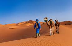 7-Day Private Tour Casablanca to Imperial Cities & Desert Glamping... Tour