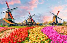 Circuit Tulipes et Rhin 2026|2027 - 8 jours (from Bâle to Amsterdam)