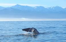 Circuit La Nouvelle- Zélande à l\'état pur : Îles du Nord et du Sud