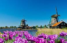 Circuit Les Pays- Bas et la Belgique en fleurs