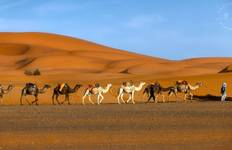 Circuit Circuit de 3 jours au Maroc, de Marrakech aux dunes de Merzouga et au camp de luxe dans le désert