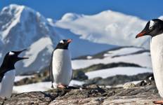 Circuit L\'Antarctique en profondeur 2025-2026|2026-2027