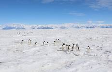 Circuit La mer de Ross en Antarctique : Glace et faune majestueuses avec Dunedin