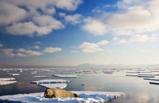 Circuito El reino del oso polar - M/V Ocean Albatros