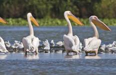 Circuit Découverte du Bas-Danube 2026|2027 - 16 jours