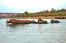 Circuit 8 jours Okavango Delta & Chobe Express (Camping)