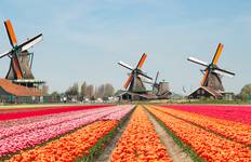 Circuit Découvrez les tulipes du Rhin et du Rhône 2026 - 15 jours (from Amsterdam to Nice)