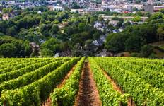 Circuit Berlin et les légendaires Rhin et Moselle