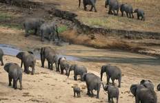 3 Days, Tarangire & Ngorongoro Crater Joining Group Safari Tour Tanzania Tour