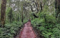 Circuit 7 jours sur la route de Rongai - Un trek isolé et pittoresque vers le sommet du Kilimandjaro
