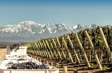 7 Days Argentina: From Buenos Aires to the Wine Region in Mendoza Tour