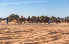 6 Days Camel Trekking from Marrakech to M'hamid & Erg Zaher Desert