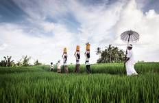 Circuit Bali & Java : volcan hike to glamping adventure