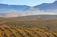 Andalusia road trip: Wild Trails & Golden Beaches (21 destinations) Tour