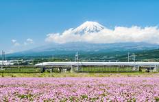 Circuit Iconic Japan : merveilles futuristes et traditions intemporelles