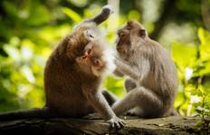 Circuit Bali Stories : Me trouver parmi les vagues