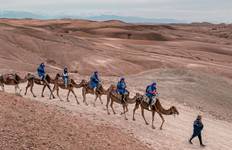 Explore Marrakech: History, Coast & Agafay Desert Tour