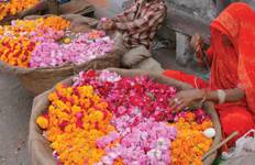 Kolkata and Lower Ganges Cruise Kolkata → Kolkata (2026) Tour