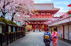 Circuit 9 jours - Best of Japan Cherry Blossom Tour 2026 | Expérience Sakura en petit groupe
