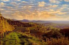 Autumn Splendor on the Rhine: Cruise & Hikes through the Rhineland (port-to-port cruise) Tour